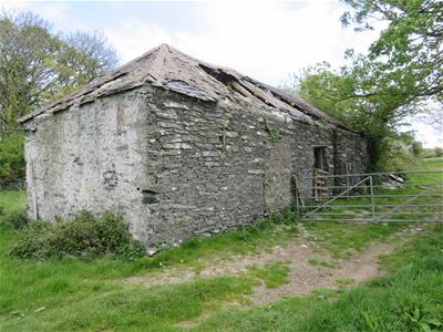 Picture 19